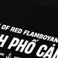 Áo Thun Relaxed Fit City Of Red Flamboyant