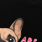 Áo Thun Relaxed Fit Bulldog Are You Gonna Eat That