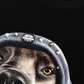 Áo Thun Relaxed Fit Animal Mood Smokey Dog