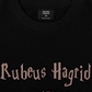 Áo Thun Relaxed Fit Harry Potter Rubeus Hagrid
