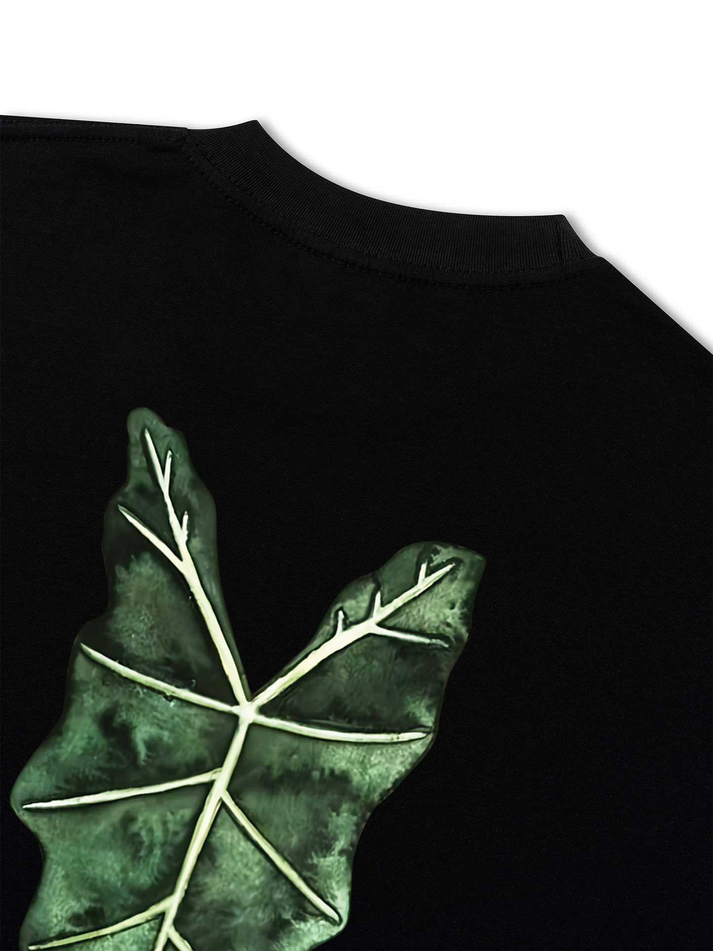 Áo Thun Relaxed Fit TROPICAL Alocasia Leaf