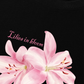 Áo Thun Relaxed Fit Lilies in Bloom