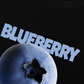 Áo Thun Relaxed Fit Blueberry Moment
