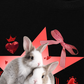 Áo Thun Relaxed Fit Daily Cuties Bunny Love Club