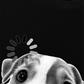 Áo Thun Relaxed Fit Loading Dog