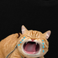 Áo Thun Relaxed Fit Animal Mood Funny Meow