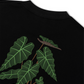 Áo Thun Relaxed Fit Tropical Alocasia