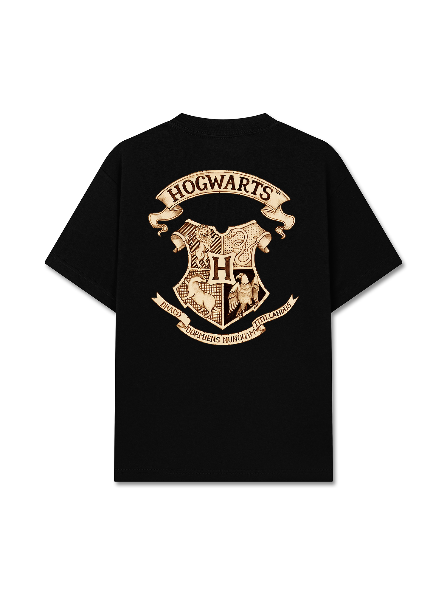 Áo Thun Relaxed Fit Hogwarts School
