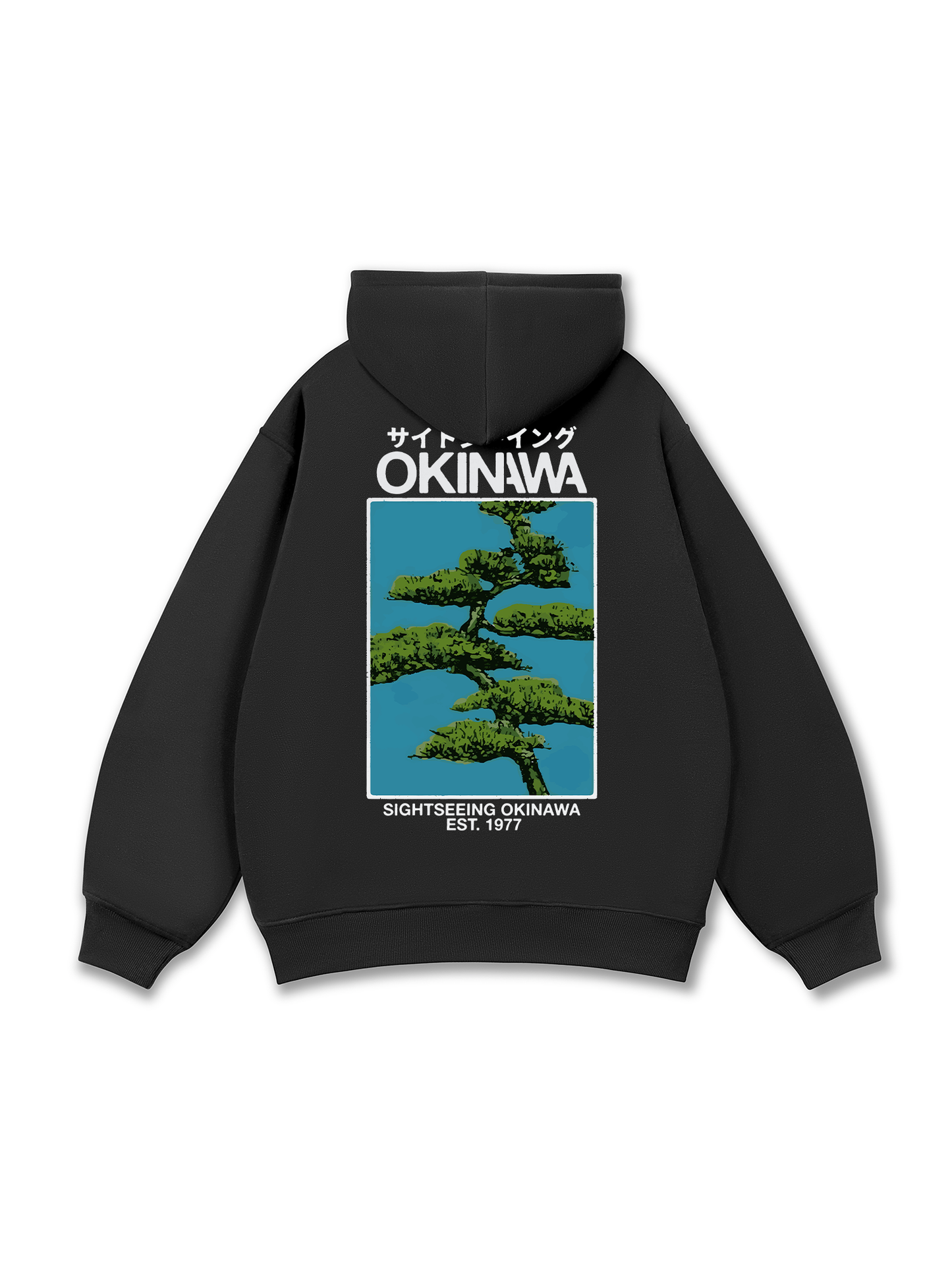 Sightseeing Okinawa Hoodie