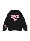 Pinky Pony Sweater