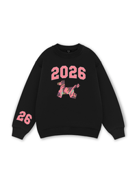 Color Drift Pony Sweater