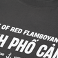 Áo Thun Relaxed Fit City Of Red Flamboyant