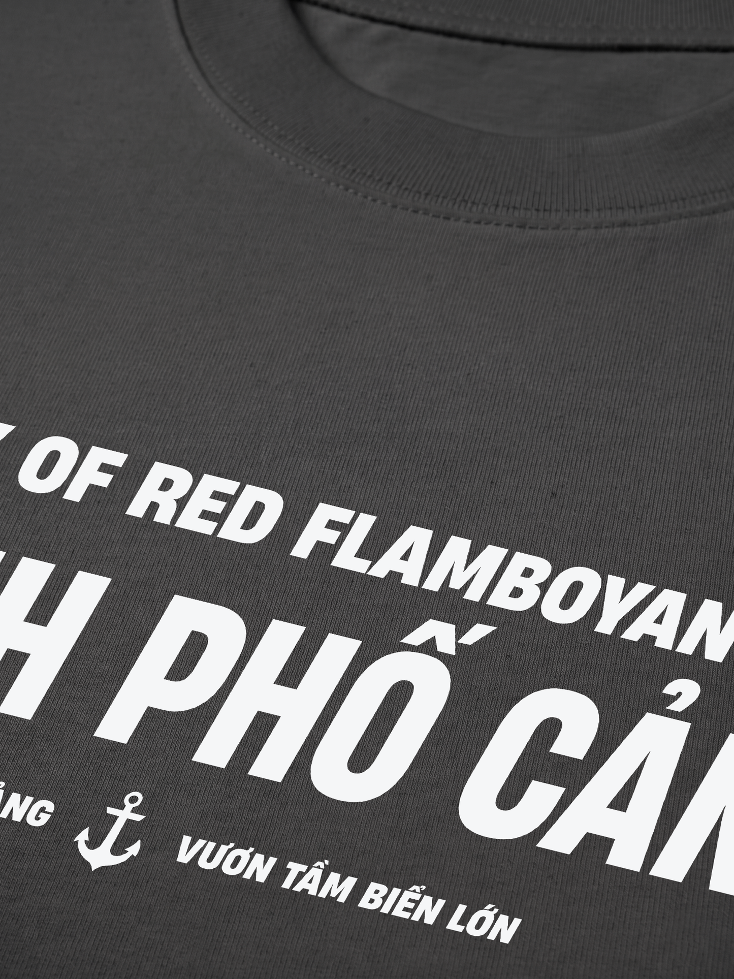 Áo Thun Relaxed Fit City Of Red Flamboyant