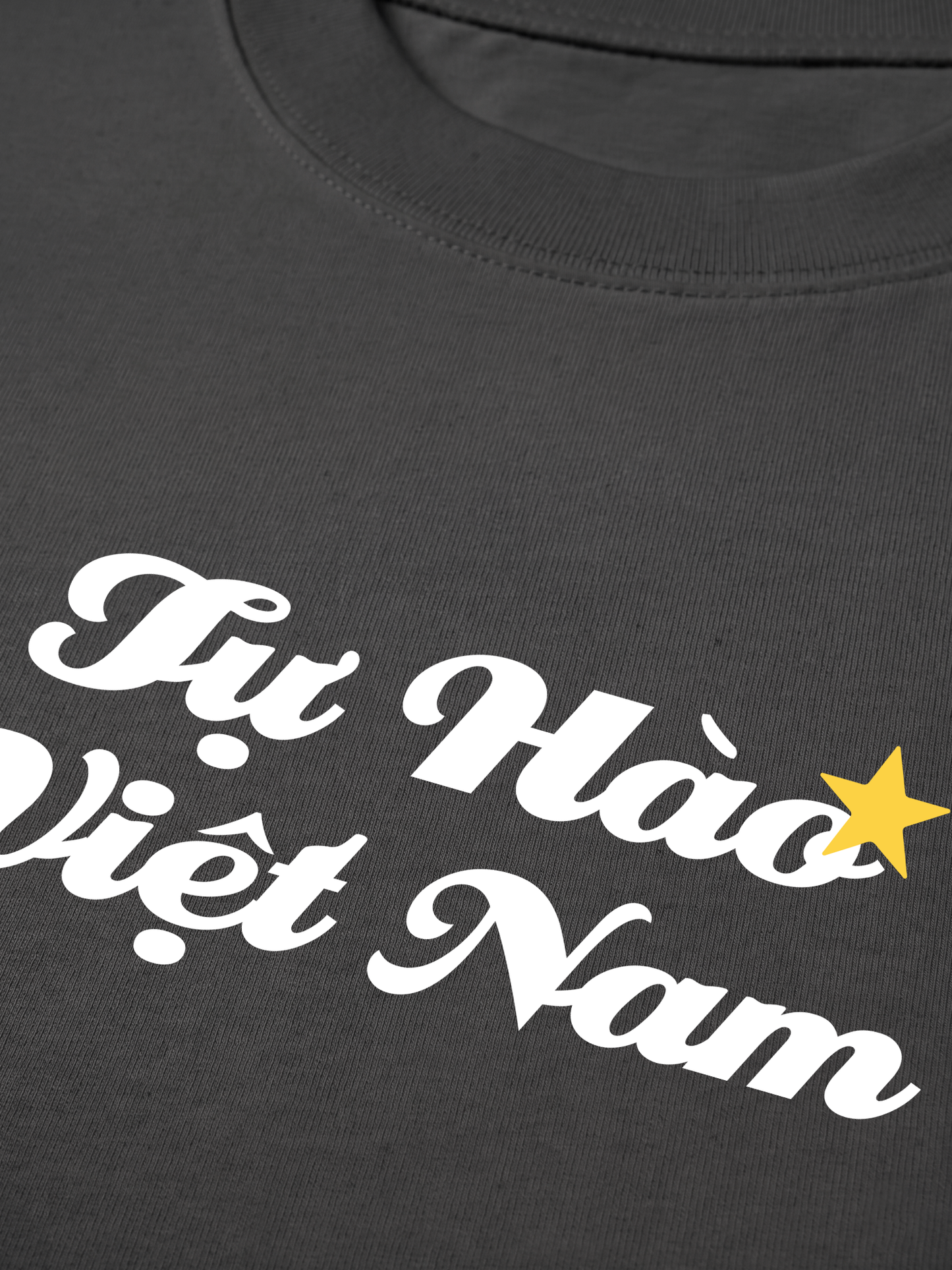 Áo Thun Relaxed Fit Tự Hào Việt Nam