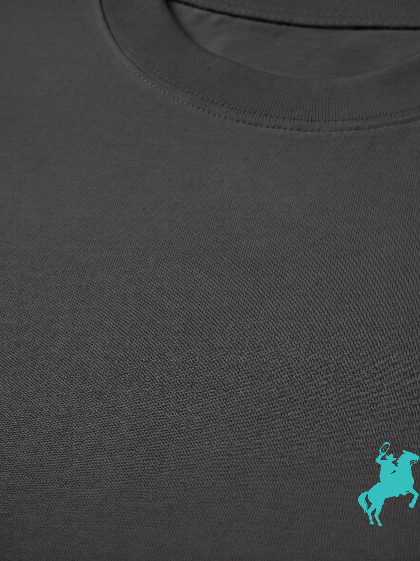 Áo Thun Relaxed Fit  Blue Tiffany Cowboy