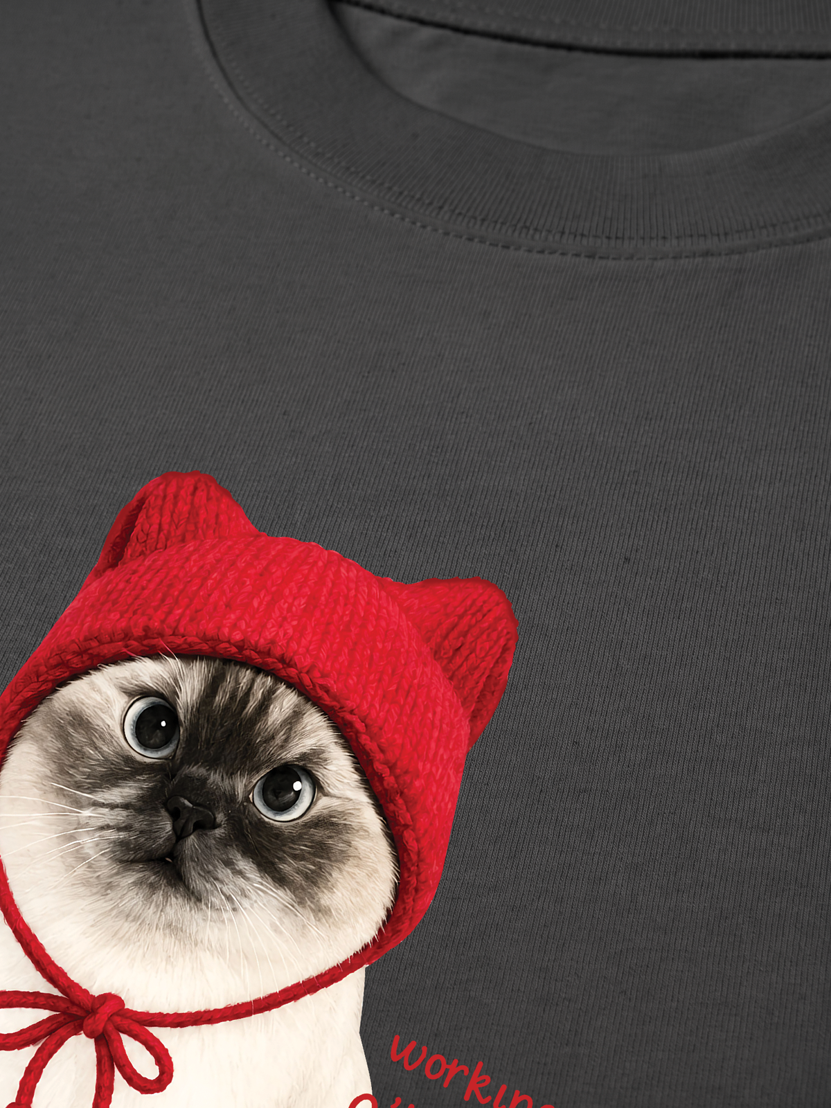 Áo Thun Relaxed Fit Working O'ttreats Red Meow