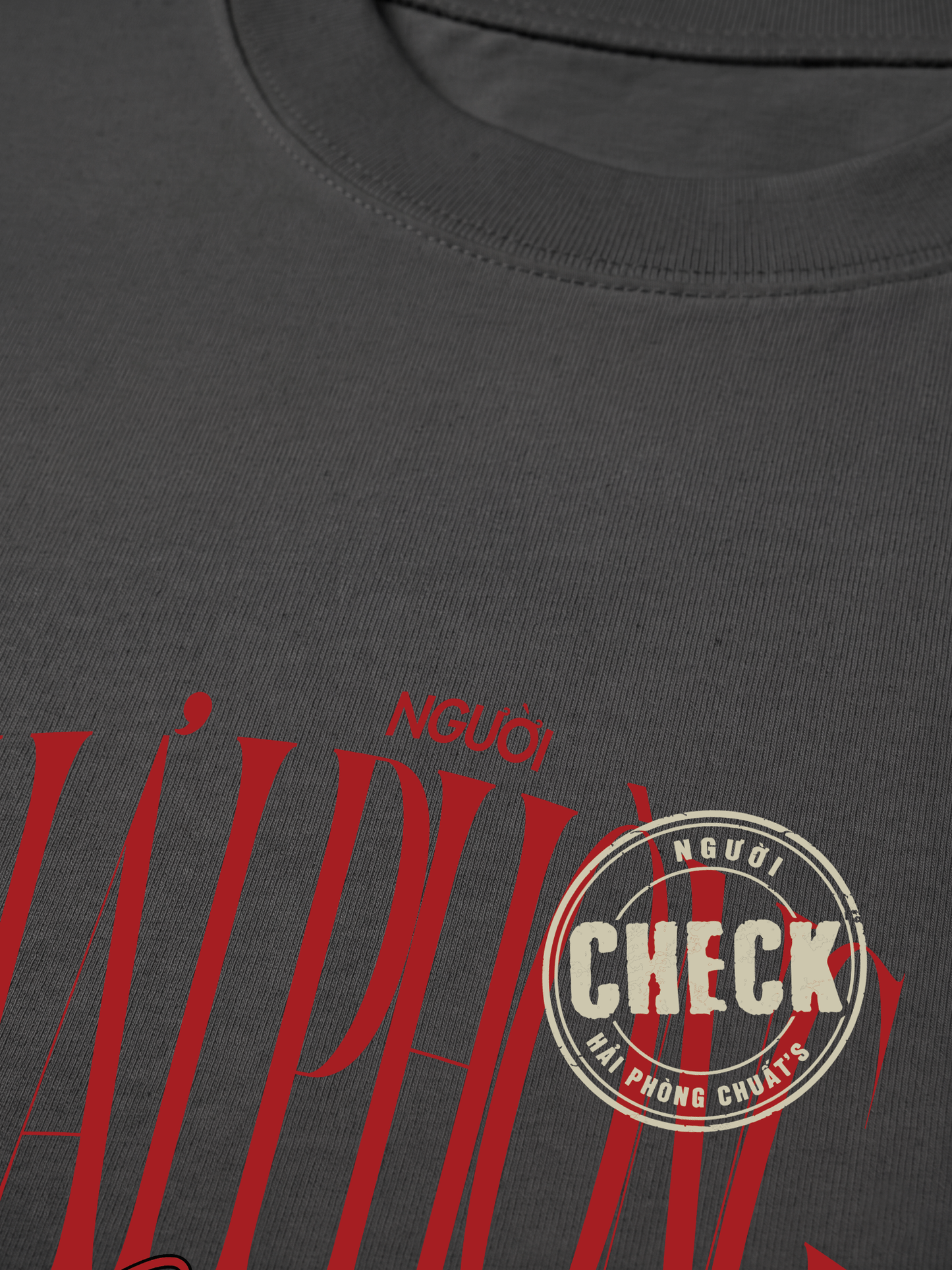 Áo Thun Relaxed Fit Check Người Hải Phòng Chuất