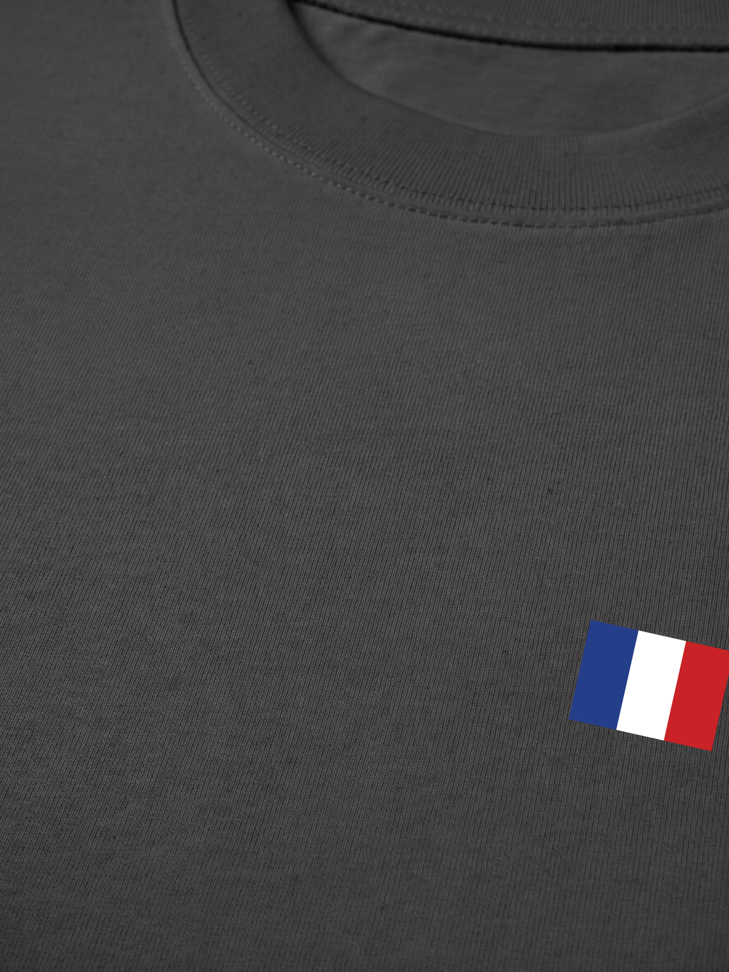 Áo Thun Relaxed Fit Paris Flag