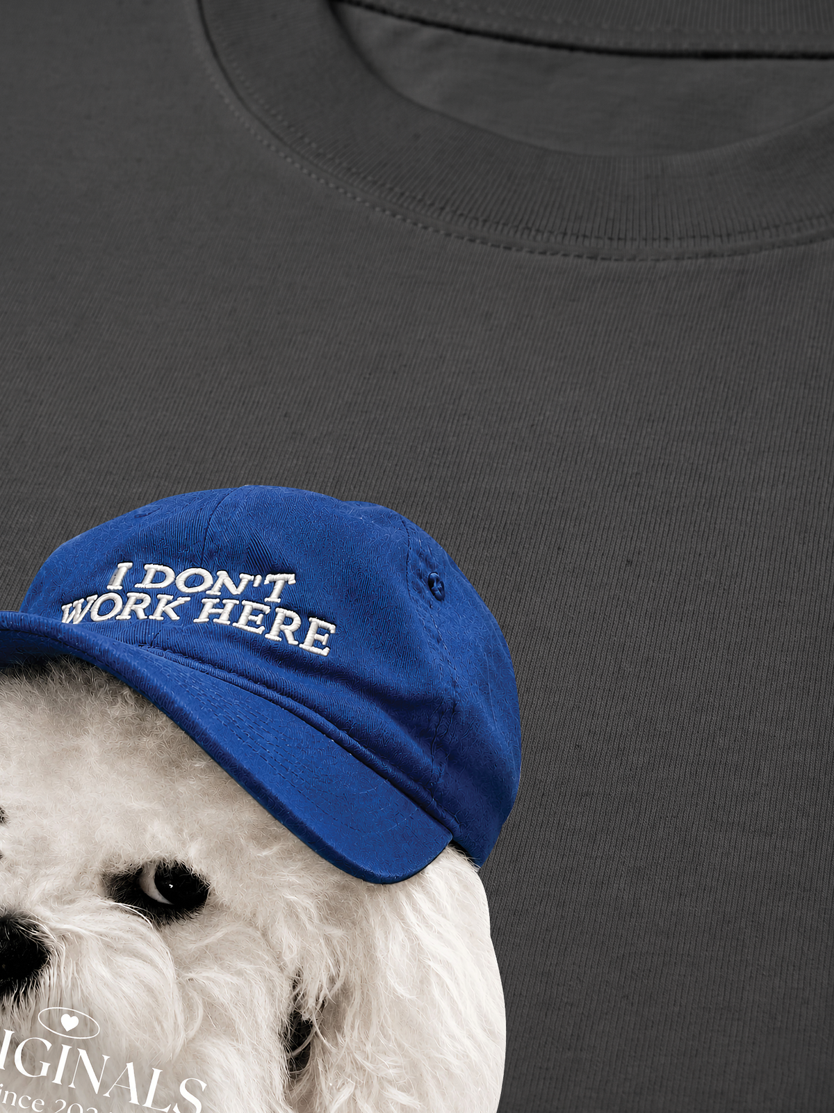 Áo Thun Relaxed Fit Puppy With Blue Hat