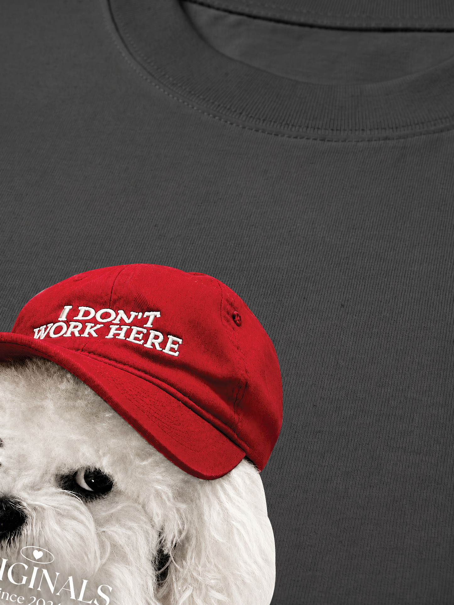 Áo Thun Relaxed Fit Puppy With Red Hat