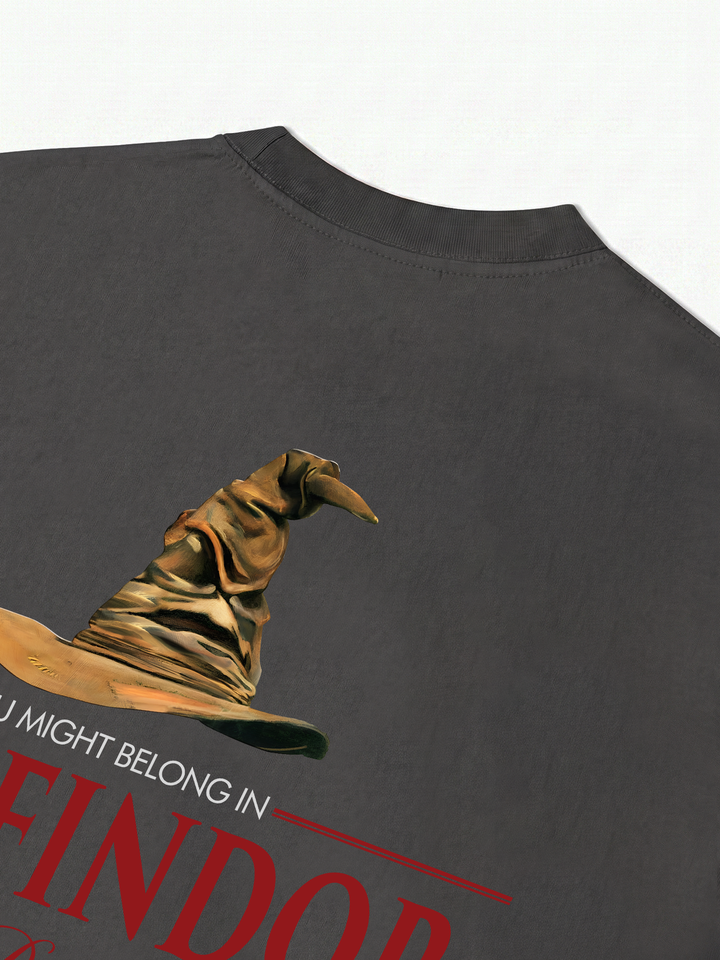 Áo Thun Relaxed Fit Gryffindors Chosen