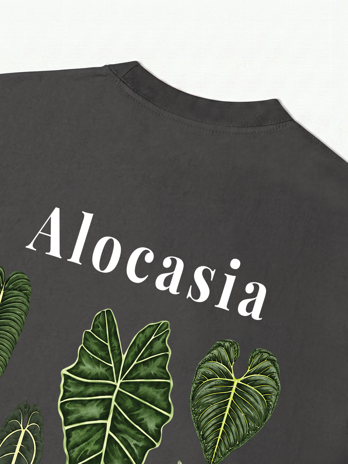 Áo Thun Relaxed Fit Tropical Alocasia Quote