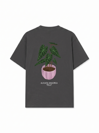 Áo Thun Relaxed Fit Tropical Alocasia