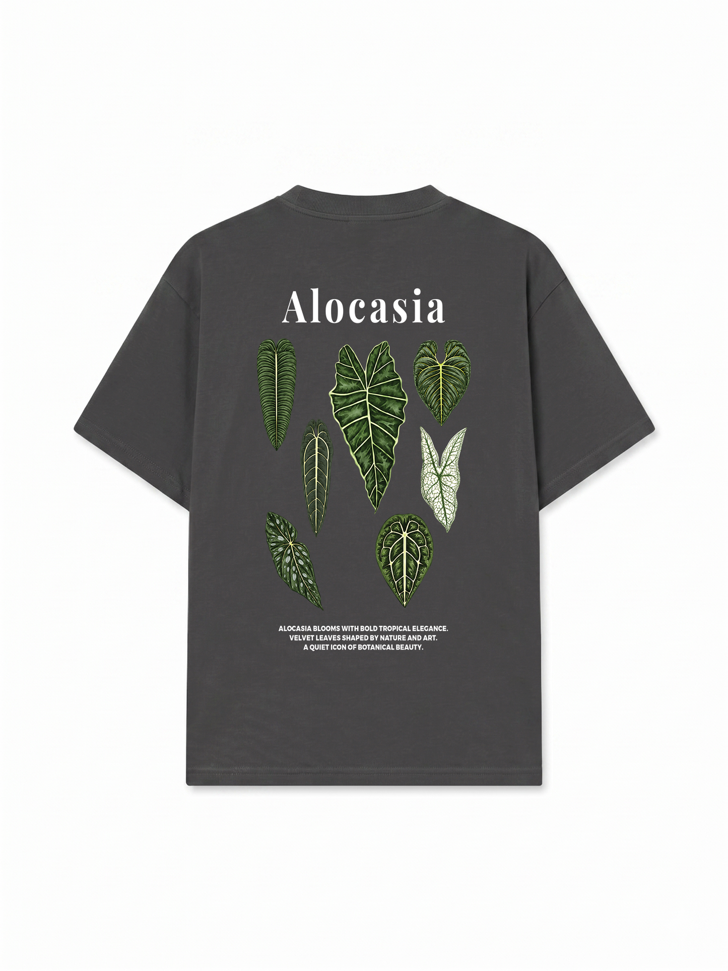 Áo Thun Relaxed Fit Tropical Alocasia Quote