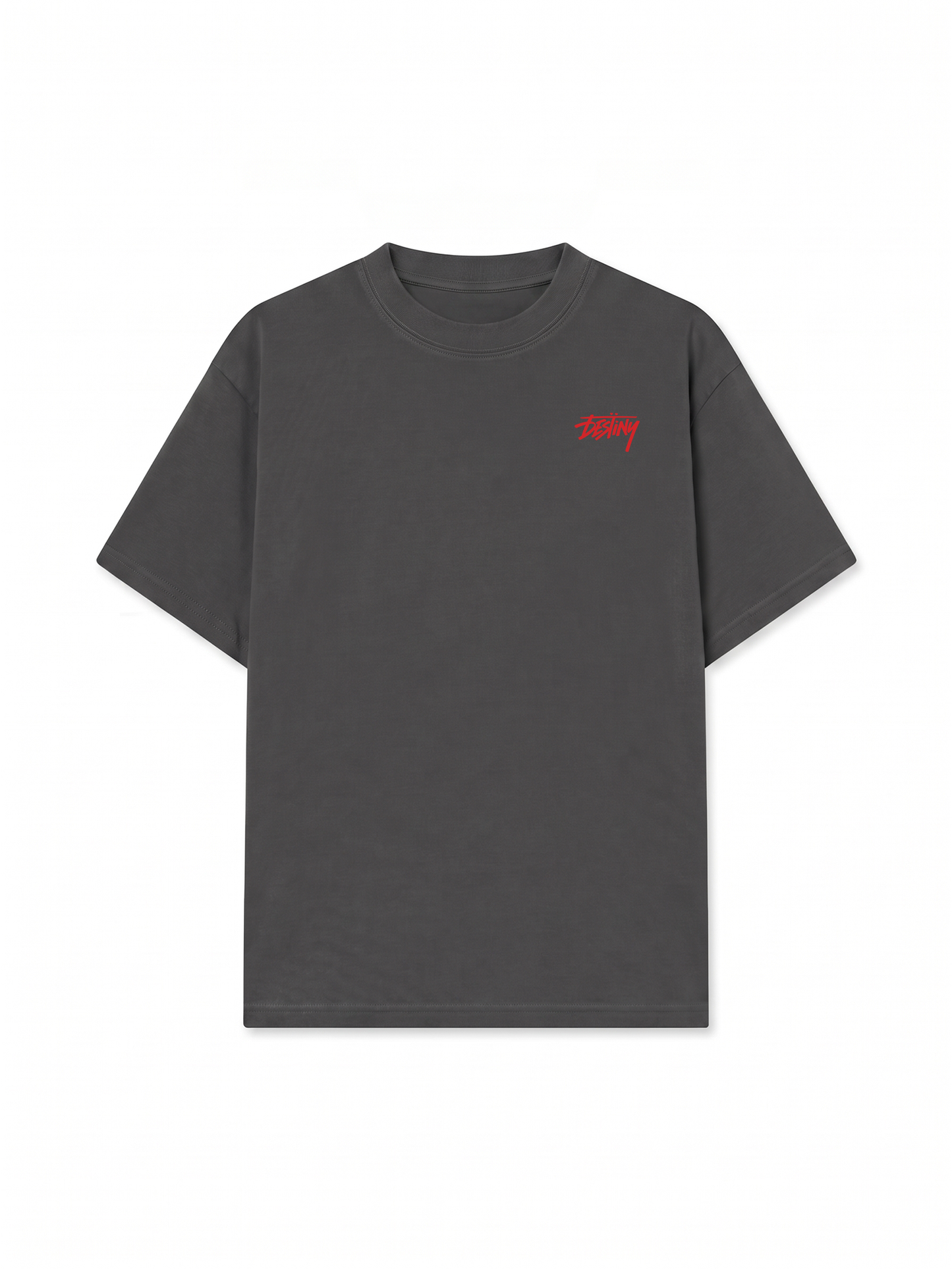 Áo Thun Relaxed Fit Destiny Typography
