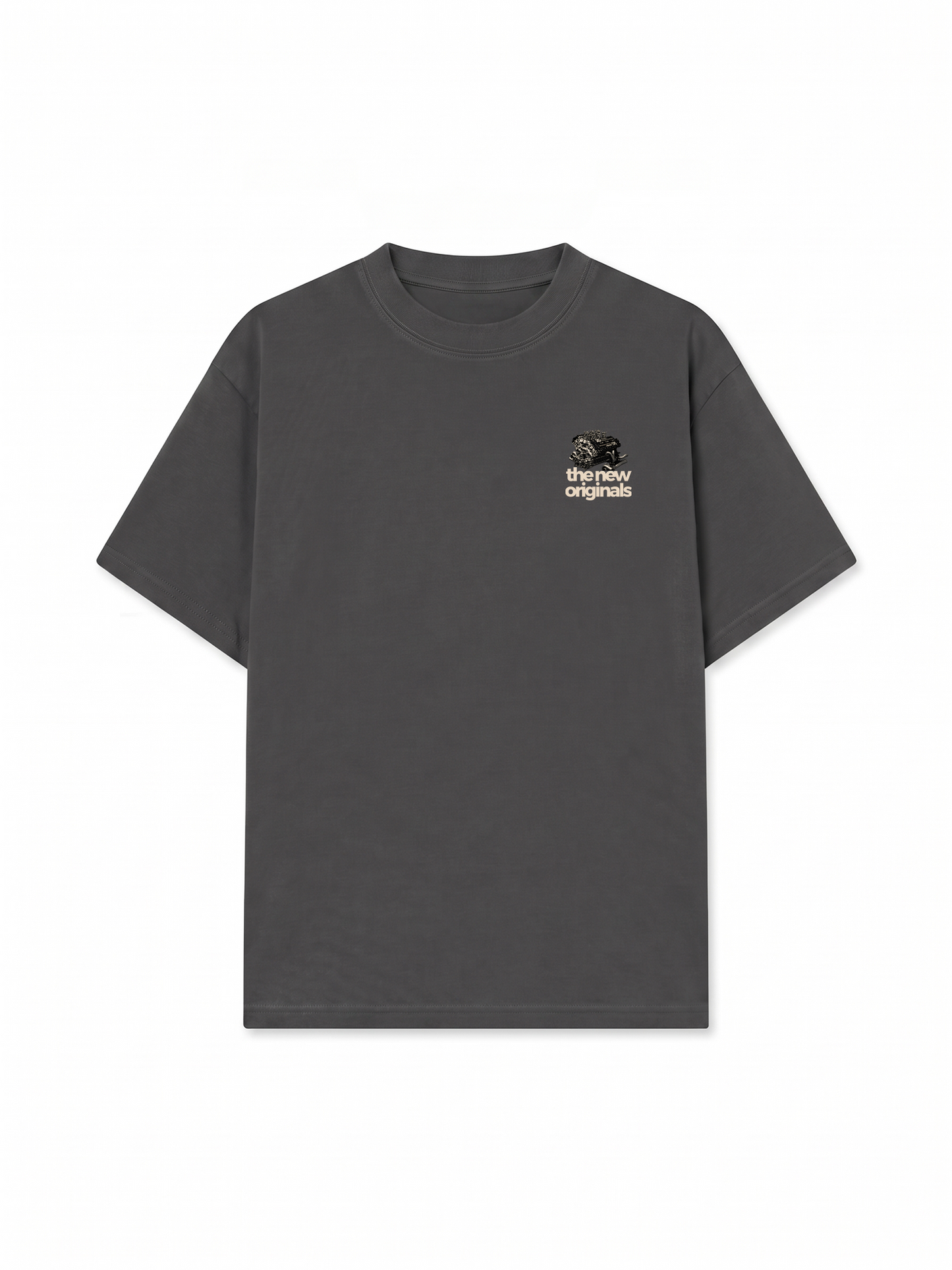 Áo Thun Relaxed Fit TTE P01