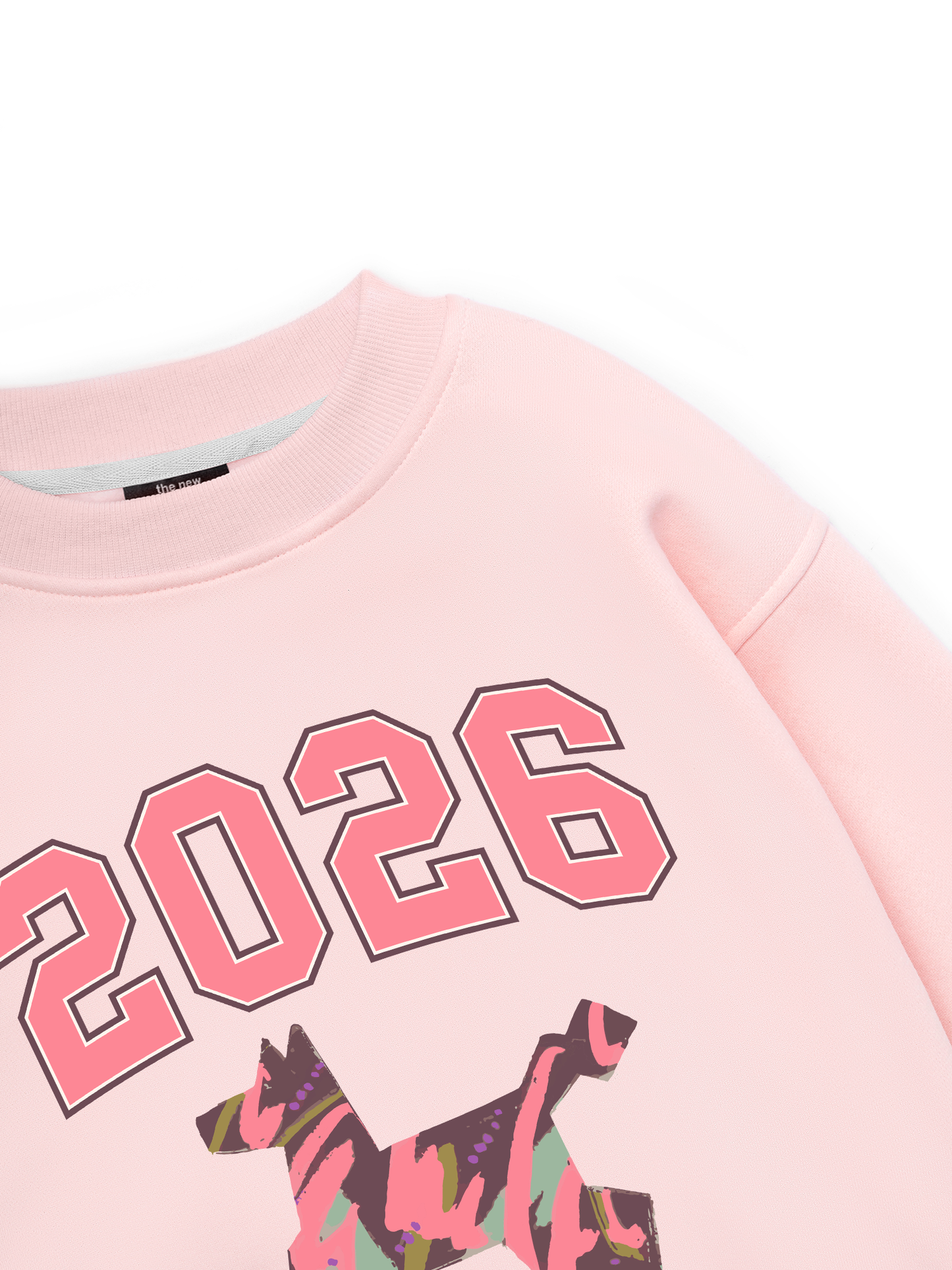 Color Drift Pony Sweater