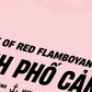 Áo Thun Relaxed Fit City Of Red Flamboyant