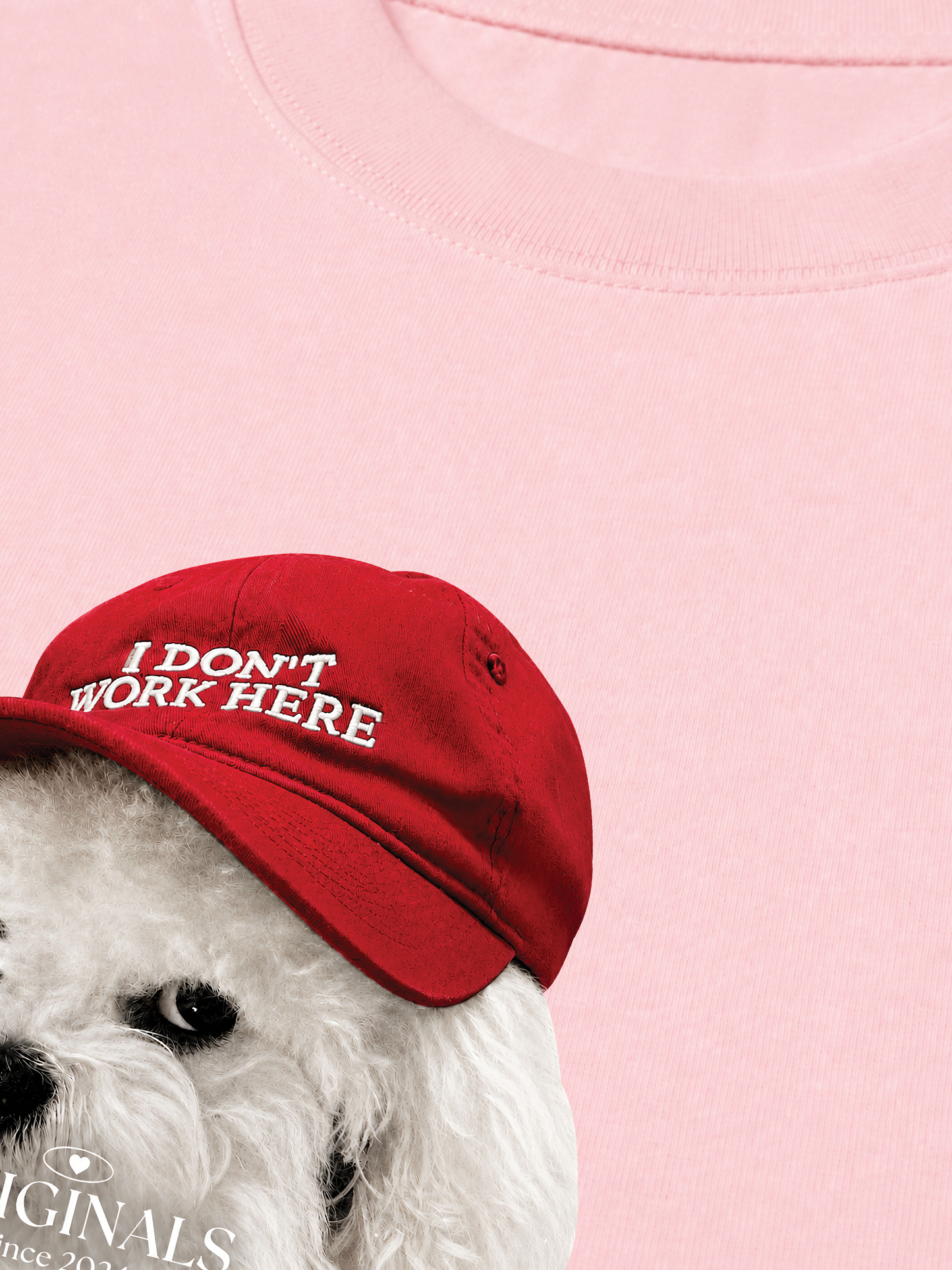 Áo Thun Relaxed Fit Puppy With Red Hat