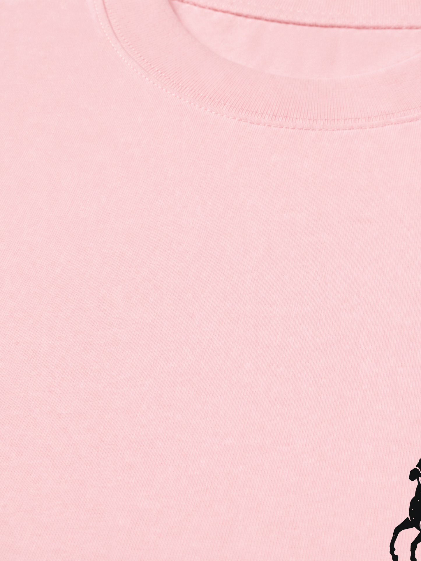 Áo Thun Relaxed Fit Horse