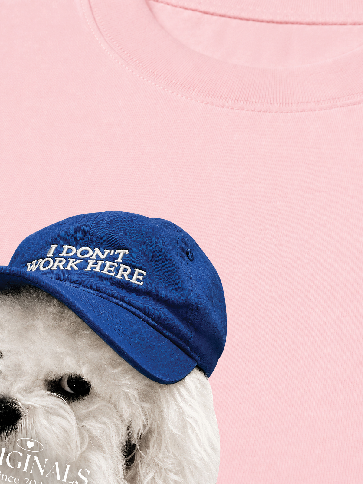 Áo Thun Relaxed Fit Puppy With Blue Hat