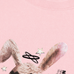 Áo Thun Relaxed Fit Not Your Bunny