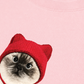 Áo Thun Relaxed Fit Working O'ttreats Red Meow
