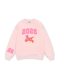 Candy Burst Pony Sweater