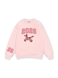 Color Drift Pony Sweater