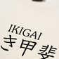 Áo Thun Relaxed Fit The Ikigai Essence