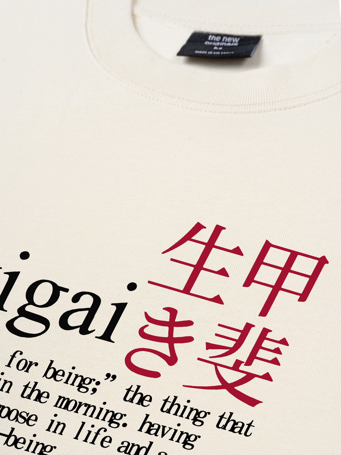 Áo Thun Relaxed Fit Ikigai A Reason For Being