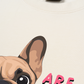 Áo Thun Relaxed Fit Bulldog Are You Gonna Eat That