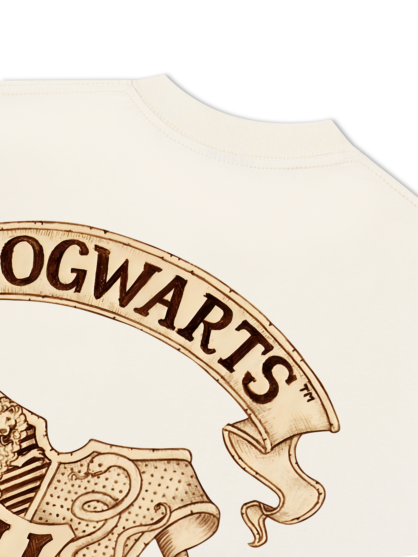 Áo Thun Relaxed Fit Hogwarts School
