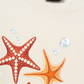 Áo Thun Relaxed Fit Ocean Orange StarFish