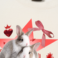 Áo Thun Relaxed Fit Daily Cuties Bunny Love Club