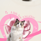 Áo Thun Relaxed Fit Daily Cuties A Little Bow