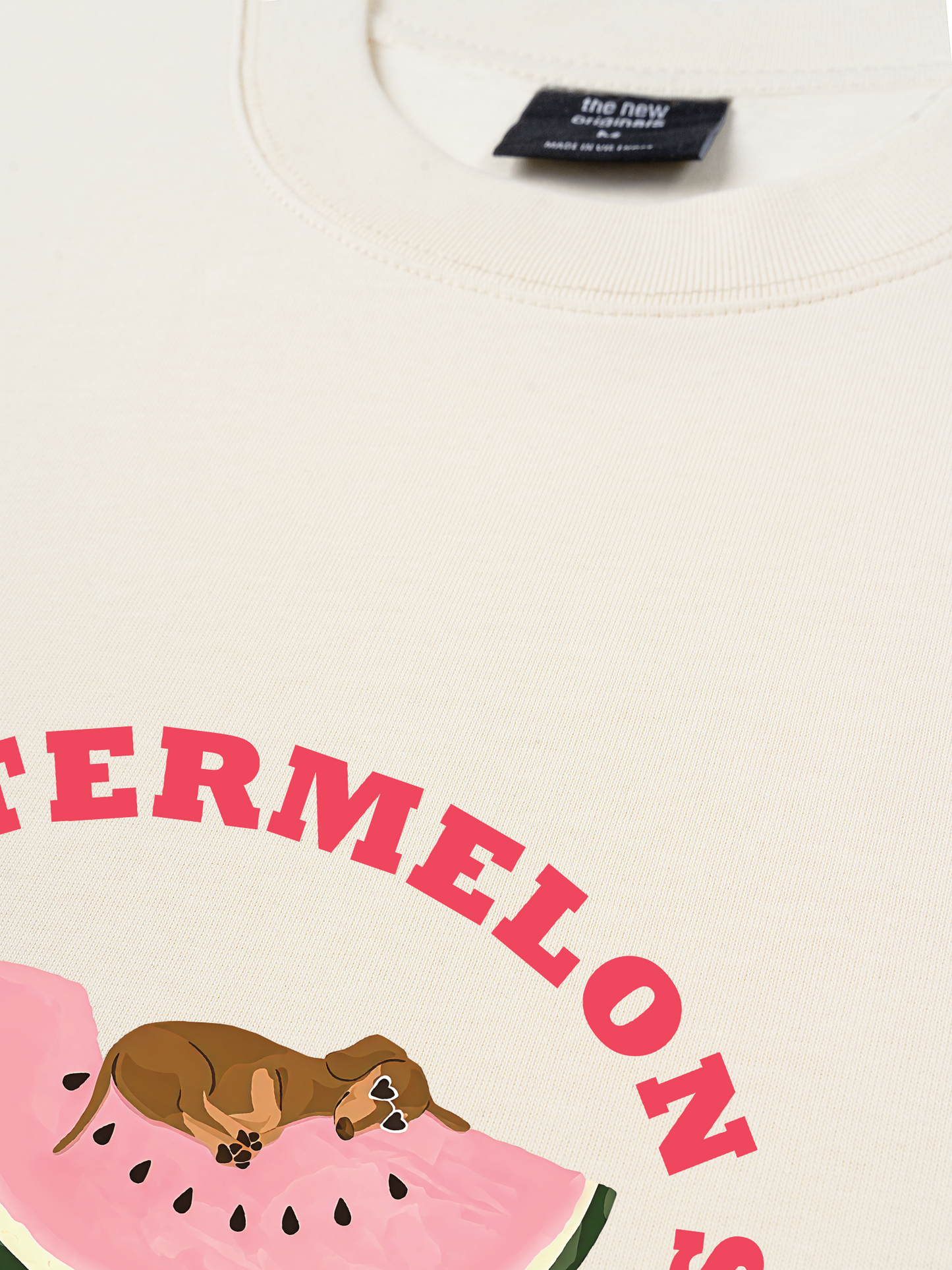 Áo Thun Relaxed Fit Summer Vibes Fresh Watermelon Summer