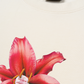 Áo Thun Relaxed Fit Pearl Lily Flower
