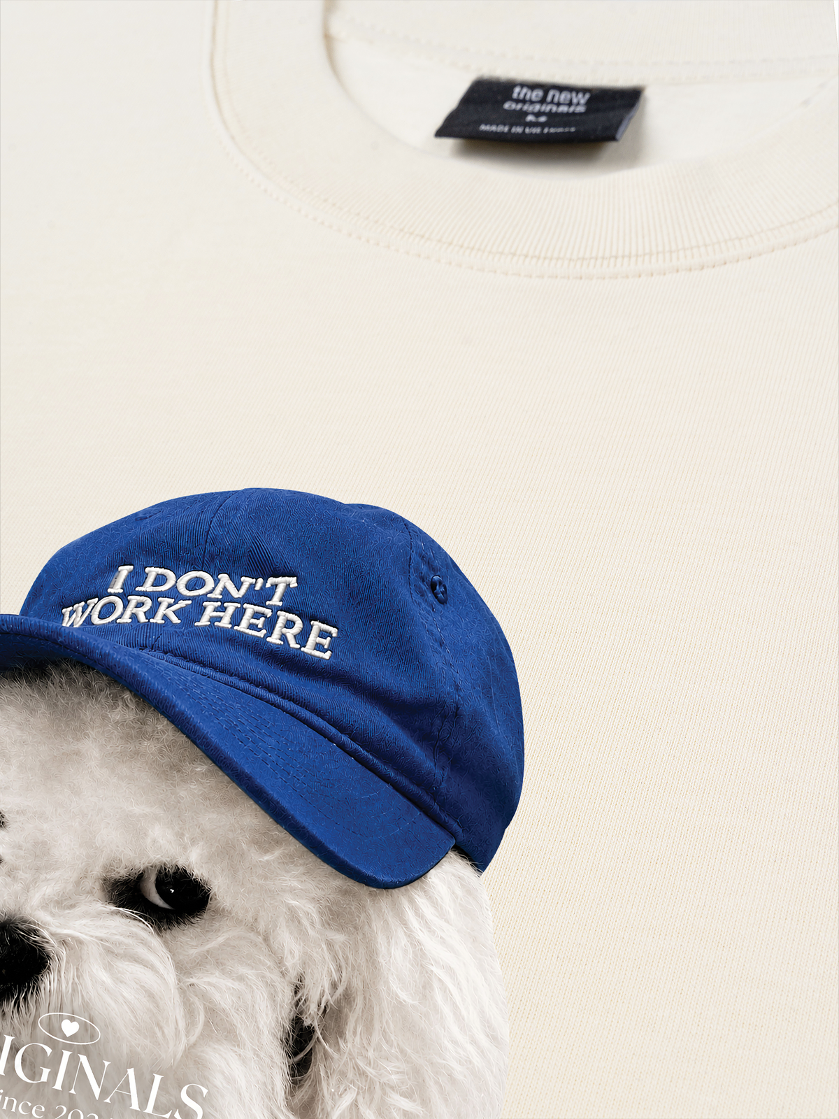 Áo Thun Relaxed Fit Puppy With Blue Hat