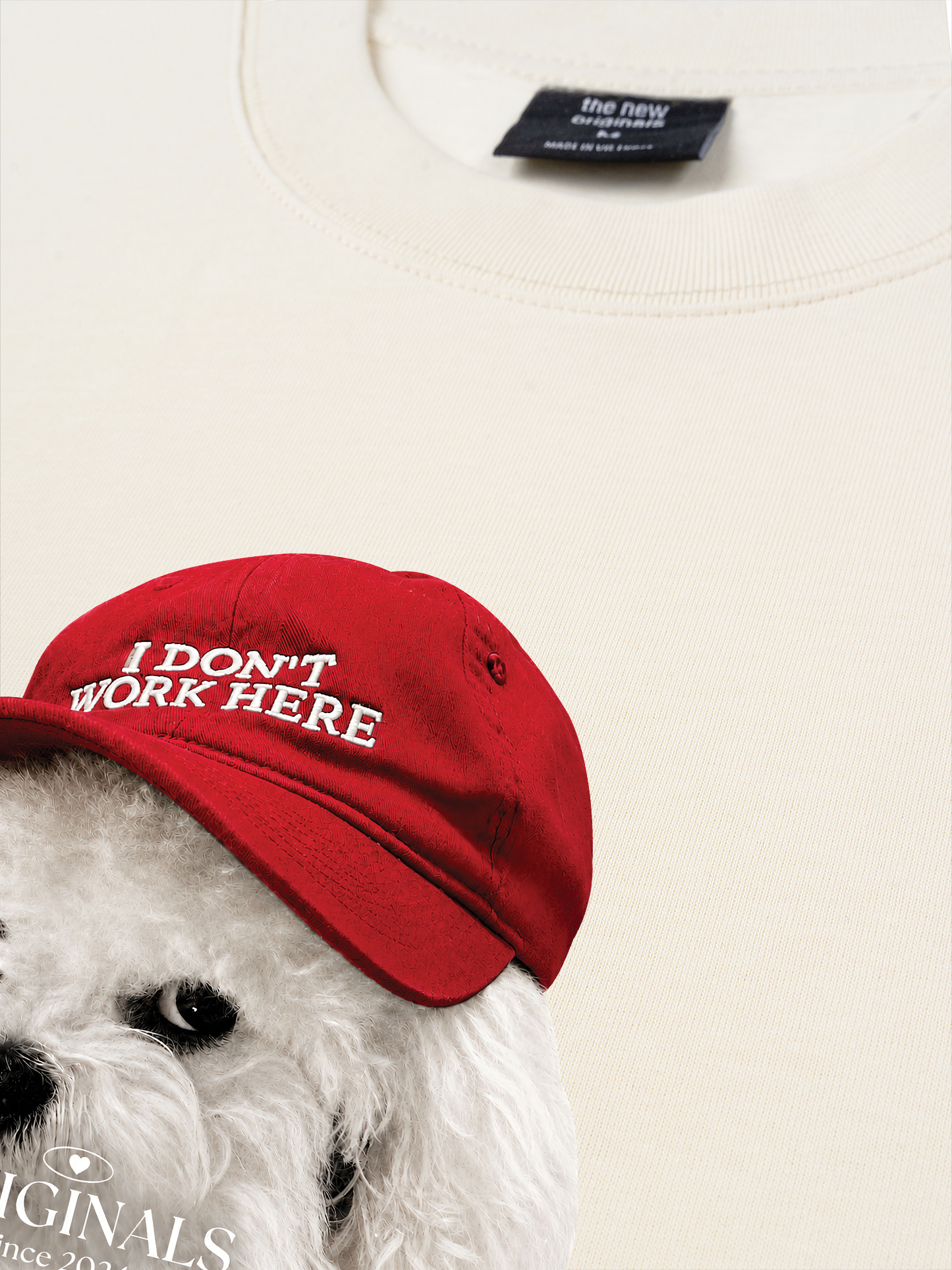 Áo Thun Relaxed Fit Puppy With Red Hat